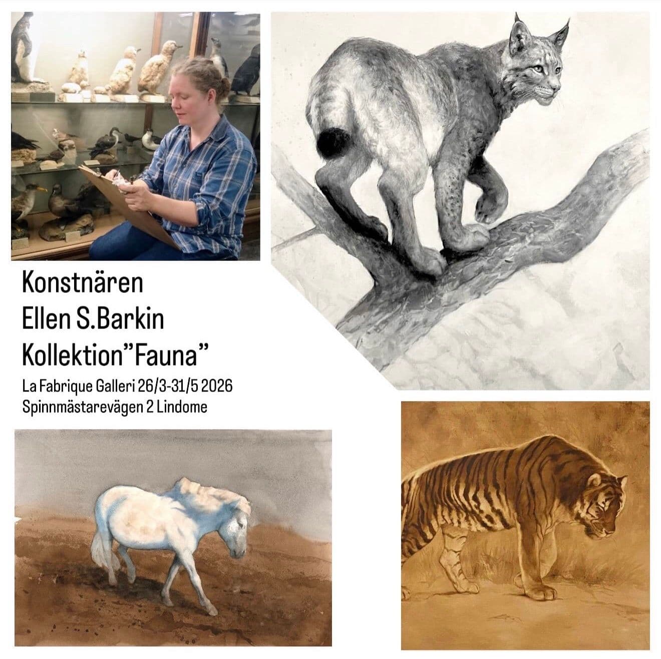 Ellen s Barkin